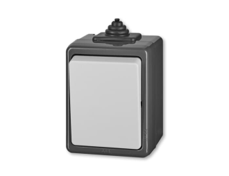 3553-06929 S WYŁĄCZNIK SCHODOWY IP44 -CLASSIC-SZARY,